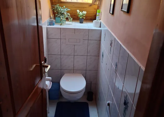 Bagoly * Nemesvámos