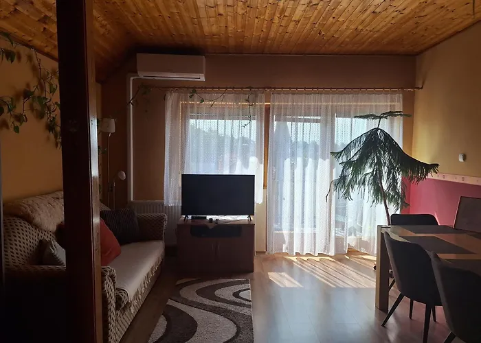 Bagoly * Nemesvámos