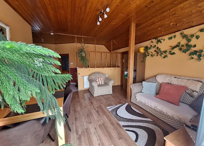 Bagoly * Nemesvámos